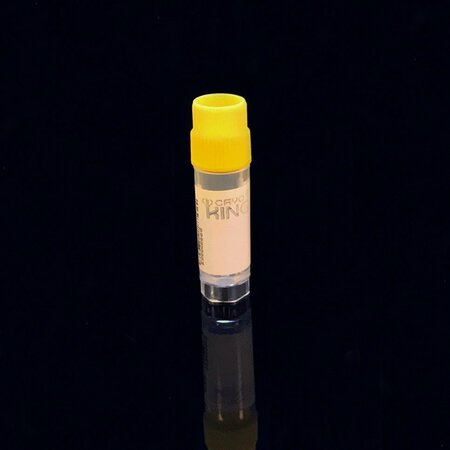 BIOX TRICODED CRYOVIAL, 2.0ML, YELLOW, 1000PK BX88-9204